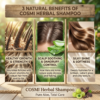 COSMI Aloe Vera Herbal Shampoo Benefits – Healthy Hair Growth Strength, Scalp Soothing Dandruff Control & Silky Shine Softness