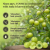Infographic showing fresh amla on a tree branch, listing benefits like stimulating hair growth and minimizing hair fall.