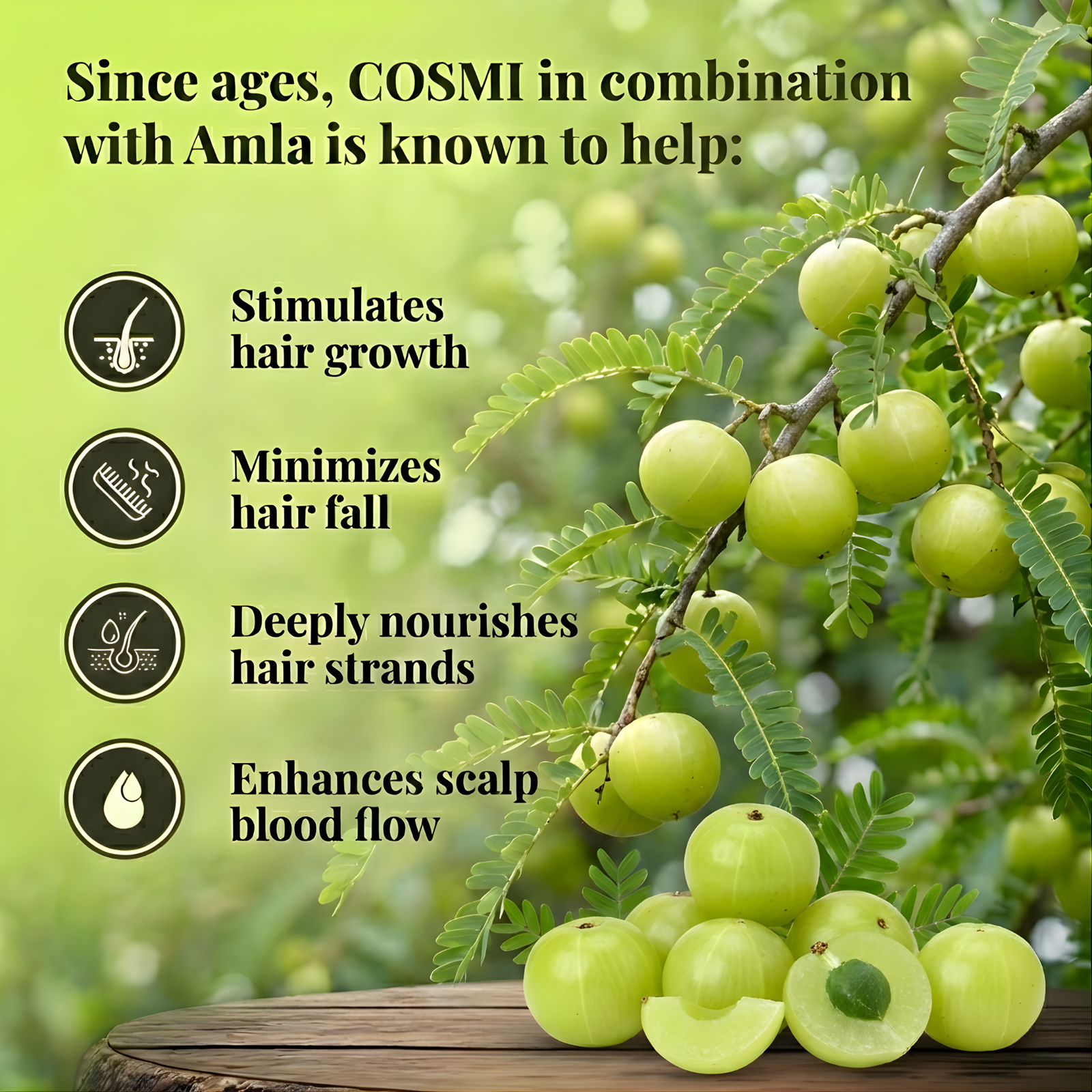 Infographic showing fresh amla on a tree branch, listing benefits like stimulating hair growth and minimizing hair fall.