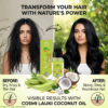 Dudhi Hair Oil Spray Bottle Before After – Transform Dry Frizzy Hair to Strong Shiny Voluminous Hair COSMI Lauki Coconut Hair Oil Before After – Transform Dry Frizzy Thin Hair to Strong Shiny Voluminous Hair with Nature's Power