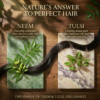 COSMI Neem & Tulsi Hair Growth Oil – Nature's Answer to Perfect Hair, Neem as Antiseptic Clarifies Scalp & Tulsi as Adaptogen Prevents Greying