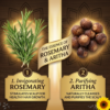 COSMI Rosemary Aritha Shampoo Key Ingredients – Invigorating Rosemary for Hair Growth and Purifying Aritha for Scalp Care