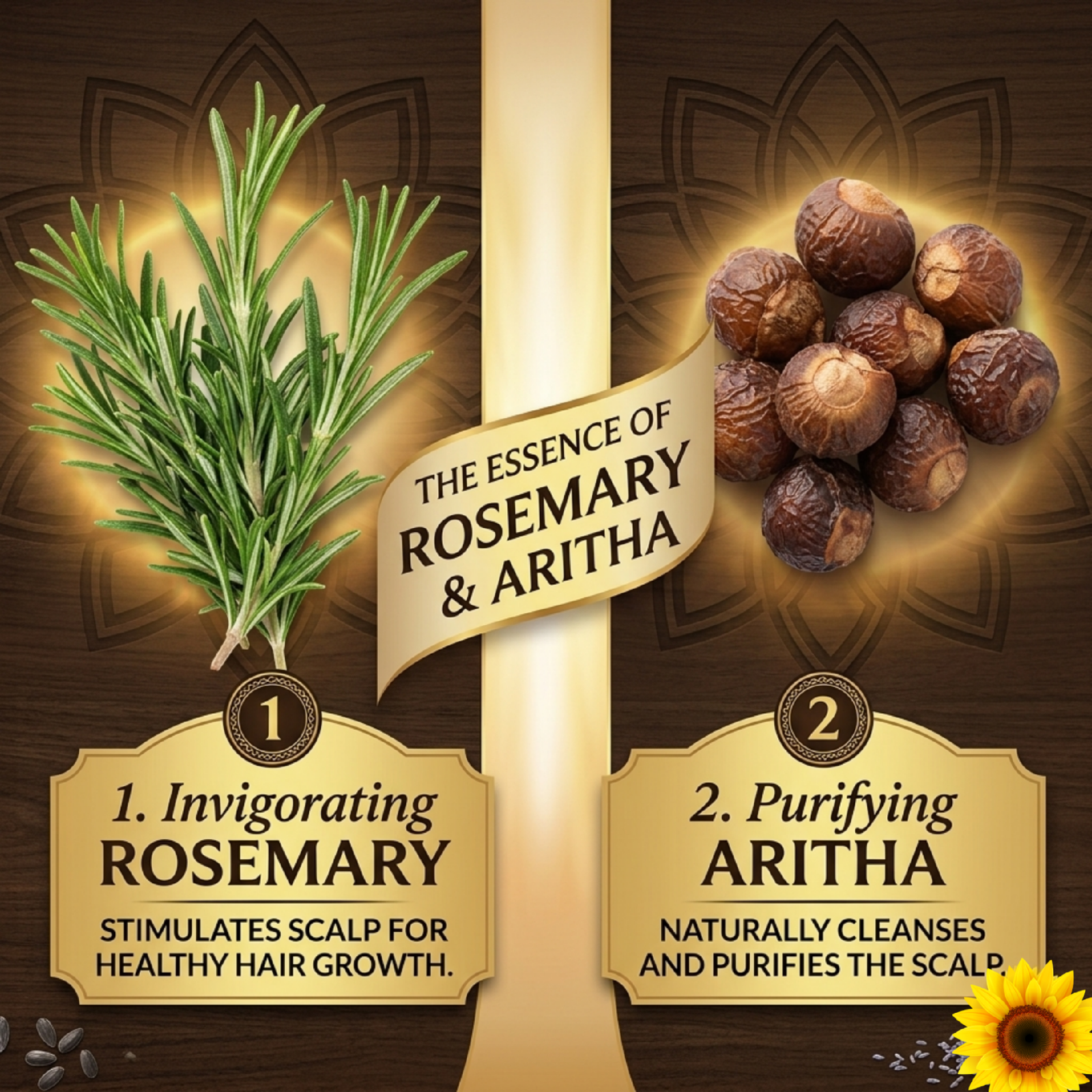 COSMI Rosemary Aritha Shampoo Key Ingredients – Invigorating Rosemary for Hair Growth and Purifying Aritha for Scalp Care