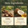 COSMI Aritha Coconut Hair Growth Oil Hero Ingredients – Aritha for Hair Growth Scalp Health and Coconut for Nourishing Strengthening Hair