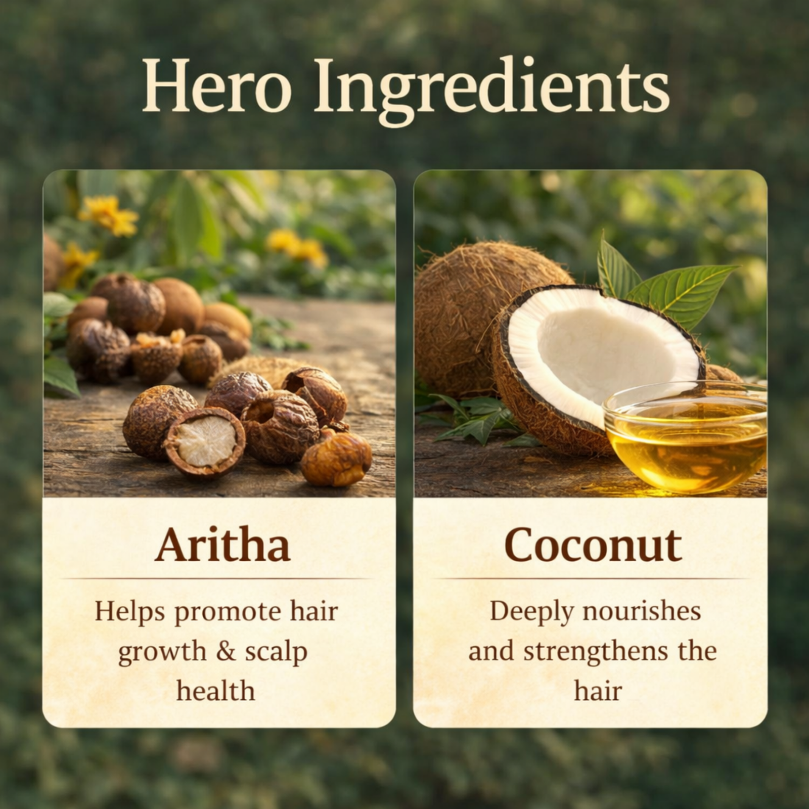 COSMI Aritha Coconut Hair Growth Oil Hero Ingredients – Aritha for Hair Growth Scalp Health and Coconut for Nourishing Strengthening Hair