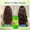 COSMI Aloe Vera Shampoo 500ml Before and After Results – Visible Hair Transformation with Natural Shampoo