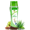 COSMI Aloe Vera Shampoo Fliptop Bottle – Amla Aritha Aloe Vera Shikakai New Pack for Strong Healthy Hair